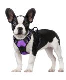 Rabbitgoo Medium Dog Harness - No Pull Adjustable Breathable with Reflex Stripes - Safe Control for Large Dogs - Purple (1 Pack) - Buy Online on GoSupps.com
