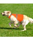 Reflective Safety Vest for Dogs - Adjustable XL Orange Warning Vest for Night Visibility & Outdoor Activities - Buy Online on GoSupps.com