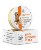 Benepura Pfotenbalsam 40 ml - Natural Paw Care for Dogs & Cats - Moisturizes Rough Cracked Paws and Noses - Wound Ointment & Paw Protection - Buy Online on GoSupps.com