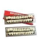 56 Pieces False Teeth Acrylic Resin Denture Replacement Kit - Horror Teeth Prop DIY | International Shipping Available - Buy Online on GoSupps.com
