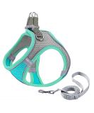 Giapinst No Pull Dog Harness for Small Dogs | Adjustable Breathable Mesh with Reflective Stripes | Medium-Sized Safety Harness (L Green & Gray) - International Shipping Available - Buy Online on GoSupps.com