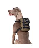 OneTigris Eureka Small Dog Backpack - Hiking Backpack with Poop Bag Dispenser for Small Dogs - Green - Buy Online on GoSupps.com