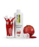 ASVITA Fresh Mix Beverage Concentrate 1L - Sugar-Free Syrup with 26 Delicious Flavors (Pomegranate) - International Shipping - Buy Online on GoSupps.com