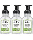J.R. Watkins Aloe Green Tea Foaming Hand Soap - 9 fl oz (Pack of 3) | Moisturizing, All Natural, Alcohol-Free | Made in USA | Cruelty-Free | Pump Dispenser - Buy Online on GoSupps.com