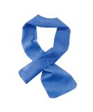 Ergodyne 6603-2PK Chill Its 6603 Cooling Neck Wrap Long Lasting Cooling Relief 2-Pack Blue 2-Pack Neck Wrap - Buy Online on GoSupps.com