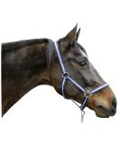Buy Kerbl Nylon Halter for Horses & Ponies - 6 Colors Available | Durable & Stylish Halters for All Sizes - Buy Online on GoSupps.com