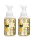 Bath & Body Works Sunshine & Lemons Foaming Hand Soap 8.75 oz 259 ml each (Set of 2) Lemons 8.75 Fl Oz (Pack of 2) - Buy Online on GoSupps.com