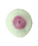 Mantle SM Gas Size S C020 9 x 11 x 1 cm Off-White - Buy Online on GoSupps.com