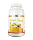 Health+ Pineapple-Papaya Capsules - 120 enzyme capsules with natural digestive enzymes from bromelain and papain Made in Germany - Buy Online on GoSupps.com