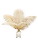 12Pcs 12-14 inch Ballinger Champagne Ostrich Feathers Bulk for Wedding and Home Decor - Buy Online on GoSupps.com