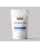 High Strength Tribulus Terrestris 1500mg | 95% Saponins | Testosterone Booster for Men | 120 Capsules | UK Manufactured - Buy Online on GoSupps.com