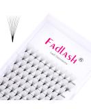 Premium 10D 0.07mm D Curl Russian Volume Eyelash Extensions | 11-19mm Premade Compartments for Stunning Volume - Buy Online on GoSupps.com