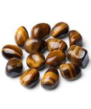 XIANNVXI Tigers Eye Natural Polished Tumbled Stones - 100g | Bulk Gemstones for Vase Filler and Reiki Energy Healing - Buy Online on GoSupps.com