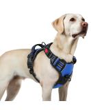Buy Rabbitgoo Adjustable Dog Harness for Large Dogs - No-Choke Design Soft Padded Reflective Anti-Training with Handle - Blue Large (1 Pack) - Buy Online on GoSupps.com