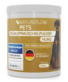 Gr nlippmussel Dog Supplement - 250g Natural Green Lip Powder for Joint Support - Test Winner for Dogs - High Acceptance Green Lip Shell Powder - Buy Online on GoSupps.com