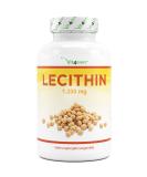 Lecithin 1 200 mg - 240 Softgels - Premium: With phospatids - Soyalecithin without genetic engineering - high -dose - laboratory test - Premium quality - Buy Online on GoSupps.com