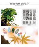 KADS Nail Art Stamping Plates - 4pcs Pattern Stamp Templates for Salon Designs - Buy Online on GoSupps.com