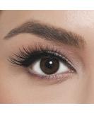 El Amore Dark Coffee Colored Contact Lenses - Retro Series Monthly Wear | Strongly Covering for Dark Eyes - 6 Month Supply - 1 Pair - Buy Online on GoSupps.com