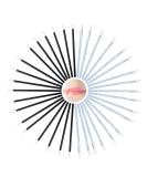 100 x Disposable Lip Brushes (Blue and Black) Disposable Lip Applicator Lip Gloss Stick Makeup Beauty Tool Set - Buy Online on GoSupps.com