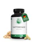 Nattokinase |20 000 FU/G |100 mg per capsule |365 capsules |Fermented soybean extract |Without genetic engineering |1 year stock |Green Naturals  - Buy Online on GoSupps.com