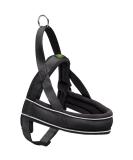 HUNTER RACING Norwegian Harness - Size ML (60-75 cm) - Black | Premium E-commerce Shipping Worldwide - Buy Online on GoSupps.com