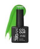Mylee Gel Nail Polish 10ml Green There Done That - Long Lasting & Easy to Apply (MG0183) - Buy Online on GoSupps.com