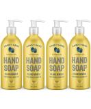 Hand in Hand Nourishing Liquid Hand Soap - Fresh Coconut & Mango Scent 4 Pack - 10 Fl Oz Island Mimosa - Pack of 4 - Buy Online on GoSupps.com