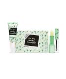 Makeup Revolution x Friends Holiday Armadillo Trio Set - Vibrant Colors - Buy Online on GoSupps.com