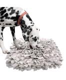 Sniffing Carpet Training Mat for Dogs & Cats - Ieuumler 45x45cm Gray-2 | Ideal for Smell Training & Interactive Play - Buy Online on GoSupps.com