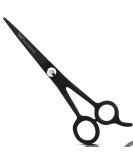 Focus World Uk FocusWorld Professional Hairdressing Scissors 6.5 Inch Black 1 count 1 Count (Pack of 1) Black - Buy Online on GoSupps.com