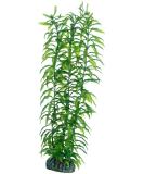 Hobby 51567 Heteranthera 34 cm 34 cm Single - Buy Online on GoSupps.com