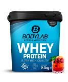 Bodylab24 Whey Protein Powder - 2kg Fruit Mix | Premium Quality Protein Supplement for International Shipping - Buy Online on GoSupps.com