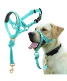 Barkeless Dog Handlebars | Reflective No-Pull Training Device for Medium & Large Dogs - Includes Training Instructions (Turquoise) - Buy Online on GoSupps.com