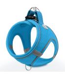 Joyal Dog Harness | Reflective Soft Padded Air-Mesh for Medium & XL Dogs | Breathable Baby Blue 55-61cm - Buy Online on GoSupps.com