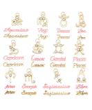 NICENEEDED 36 PCS Twelve Zodiac Nail Charms and Nail Rhinestones Pendants Set 3D Twelve Constellation Alloy Nails Art Charm Decorations Dangles Nail Pendants Jewelry for Summer DIY - Buy Online on GoSupps.com