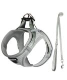 UVTQSSP Padded Dog Harness for Small Dogs with Leash - Comfortable & Adjustable Puppy Harness in Gray - Buy Online on GoSupps.com