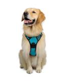Rabbitgoo Medium Dog Harness - No Pull Adjustable Breathable Control Harness for Large Dogs - Safe & Comfortable with Reflex Stripes - Blue Green XL (1 Pack) - Buy Online on GoSupps.com