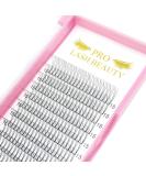 3D-D-0.07-11mm Pre Made Fan Eyelash Extensions - Short Stem Russian Volume Lashes - 3D-D-0.07 11mm - Buy Online on GoSupps.com