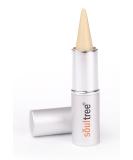 Soul Tree Ayurvedic Kajal - Certified Natural 3g | Eco-Friendly Eye Makeup - Buy Online on GoSupps.com