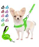 Eyein No-Pull Dog Harness with Leash - Soft Padded Reflective & Adjustable for Puppies Small & Large Dogs Cats - Green XXS - Buy Online on GoSupps.com
