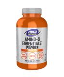 Now Foods Sports Amino-9 Essentials Powder 11.64 oz (330 g) - Buy Online on GoSupps.com