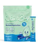 Waterboy Workout Hydration | Sugar-Free Electrolyte Powder Packets | L-Glutamine + Vitamins | Gluten-Free & All Natural | Blue Raspberry 15 Drink Stick Mixes - Buy Online on GoSupps.com