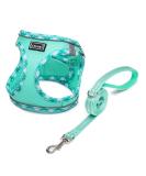 Doramio Reflective Dog Harness for Small Dogs & Cats - Breathable Step-In Design with Leash - XS Light Green - Buy Online on GoSupps.com