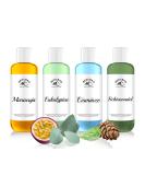 Bergbad 4 x 250ml Sauna Infusion - Alcohol-Free Soothing & Refreshing Blends: Ice Mint Eucalyptus Spruce Needle Maracuja | Perfect for Home & Travel Saunas - Buy Online on GoSupps.com