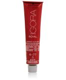 Schwarzkopf Igora Royal  6-77 Dark Blonde Copper Extra  60ml 6-77 Dark Blonde Copper 2 Fl Oz (Pack of 1) - Buy Online on GoSupps.com