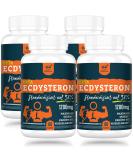 Buy Beta Ecdysterone Supplement 1200 mg - 98% Purity | 240 Capsules (Pack of 4) - Enhance Performance & Muscle Growth - International Shipping Available - Buy Online on GoSupps.com