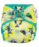 Close Pop-in Reusable Cloth Diaper | One Size Birth to Potty | Bamboo Fabric | Snap Fastener | Lemur Print - Eco-Friendly Baby Diaper for International Shipping - Buy Online on GoSupps.com