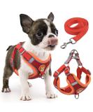 Rennaio No Pull Dog Harness & Adjustable Puppy Dishes Set - Ultra Comfortable Chest Harness & Leash for Small/Medium Dogs (Red Size S) - International Shipping Available - Buy Online on GoSupps.com