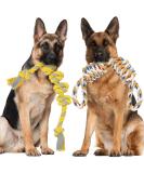 ETACCU Strong Dog Rope Toys for Large & Medium Dogs 2 PCS Indestructible Rope Dog Toys for Aggressive Chewers 100% Cotton Rope Dog Toys for Tug of War & Teeth Cleaning Multi/Medium & Large Dogs - Buy Online on GoSupps.com