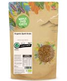 Organic Spelt Grain 3kg | GMO Free | Vegan | High Fibre - Wholefood Earth - Buy Online on GoSupps.com